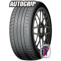 205/55 R16 91V AUTOGRIP P308